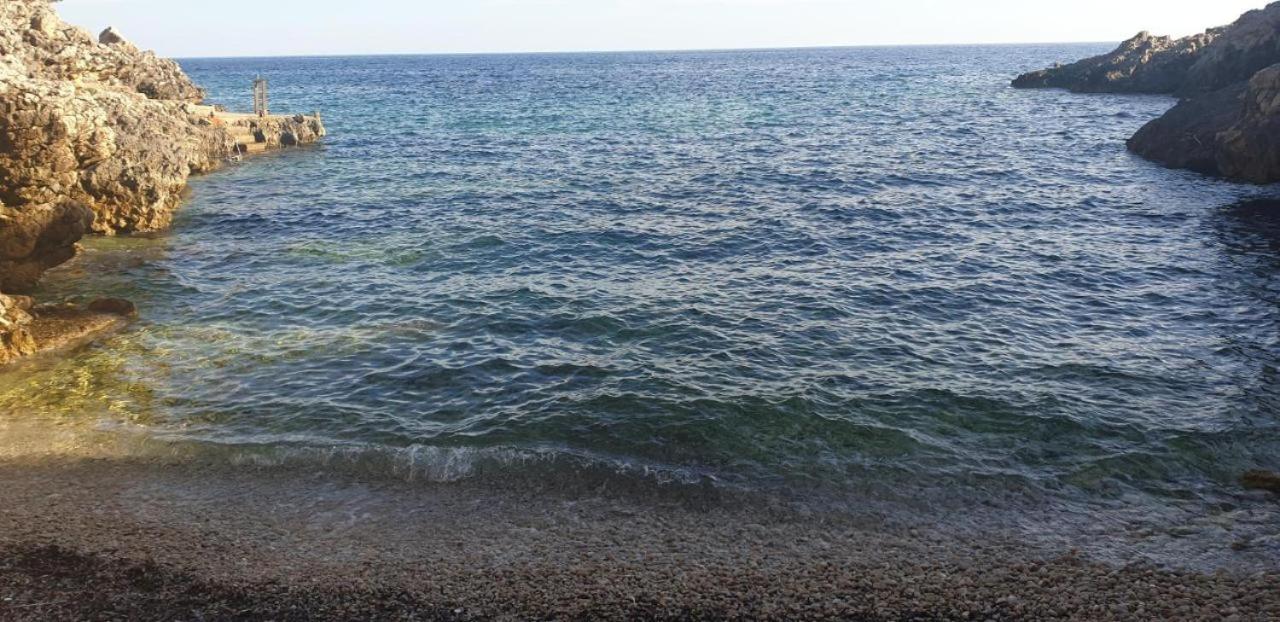 Appartement Adriatic *