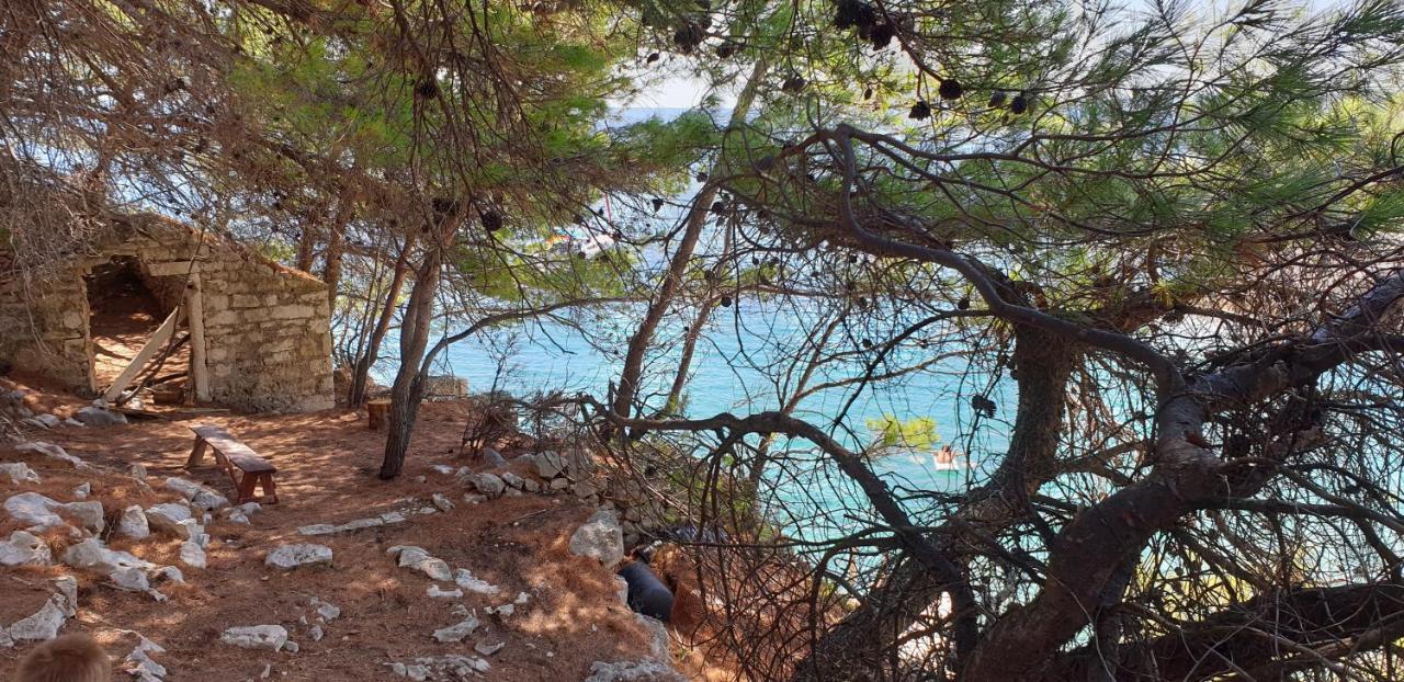 Apartment Adriatic