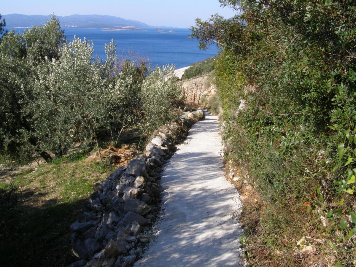Adriatic Orebic