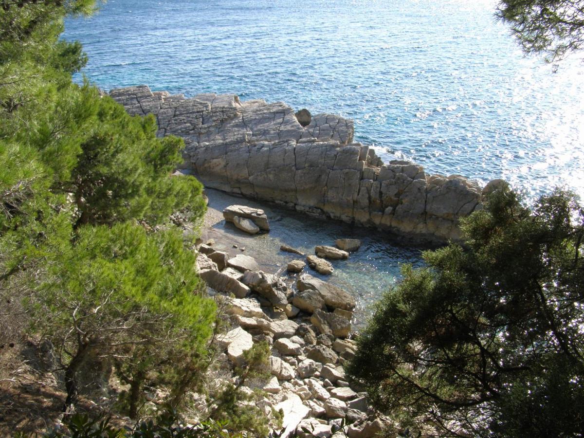 Apartment Adriatic *